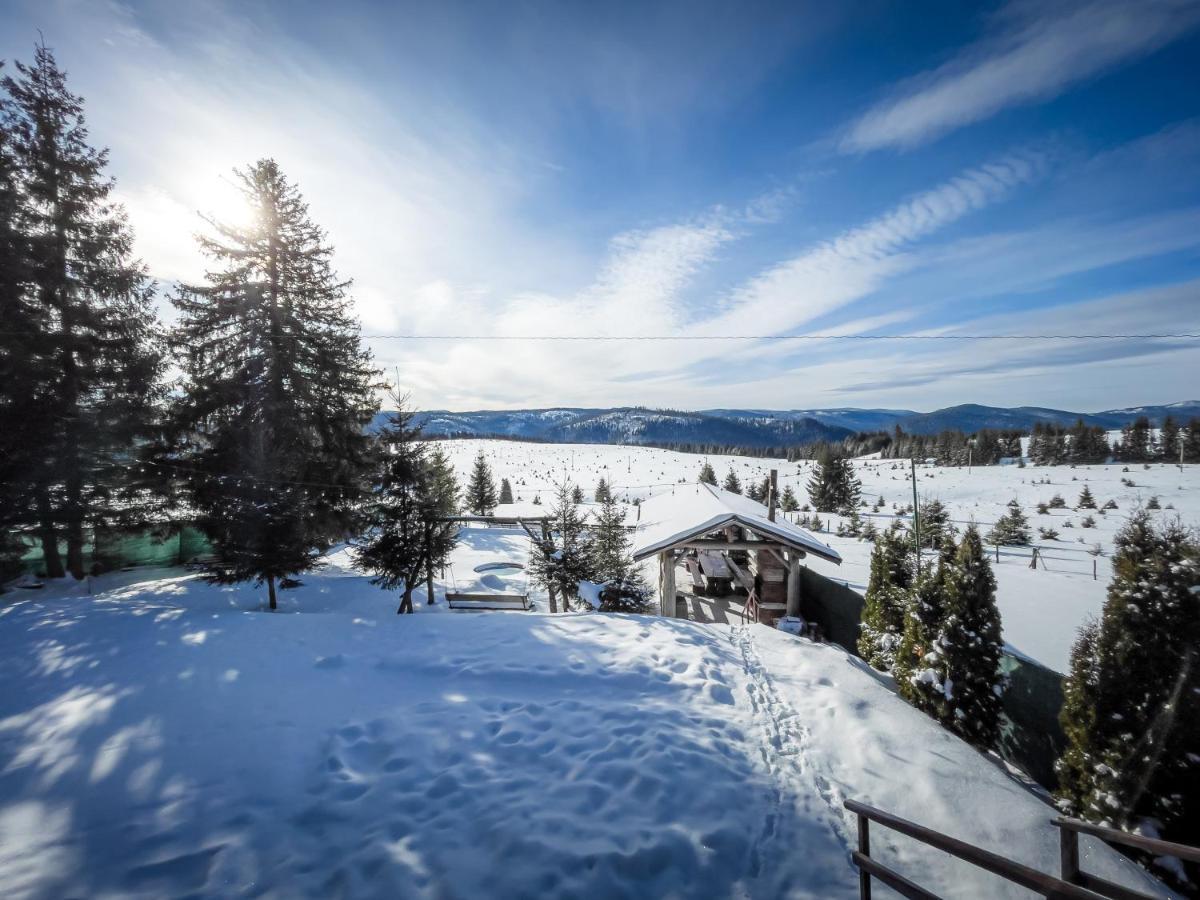Cabana Visul Muntilor Beliş Exteriör bild